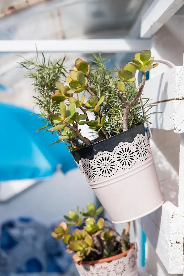 Apartments Kastel Veli Losinj
